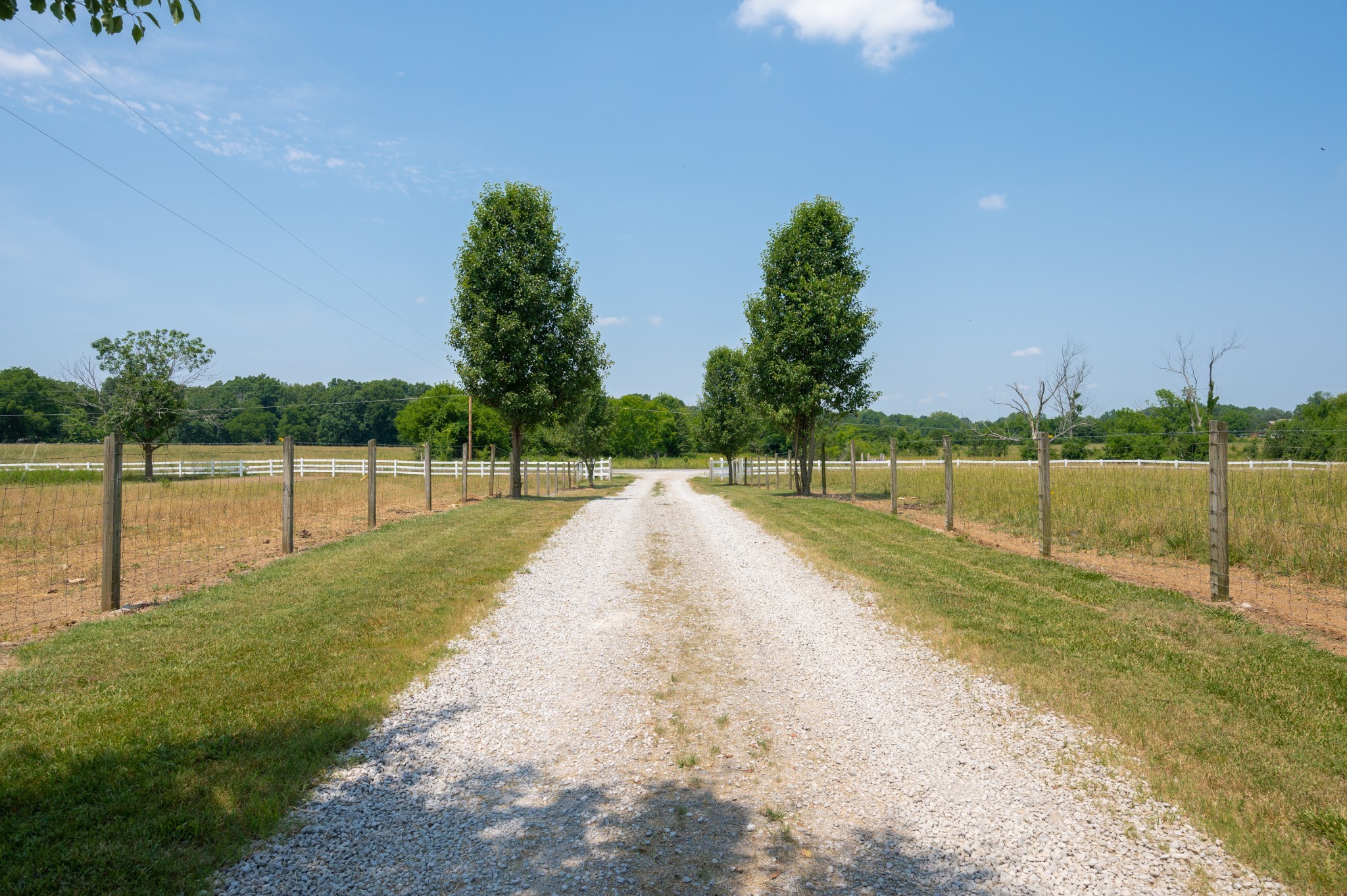 697 Whitaker Road Shelbyville, TN 37160 - Photo 42 of 61 Gallery Image 42