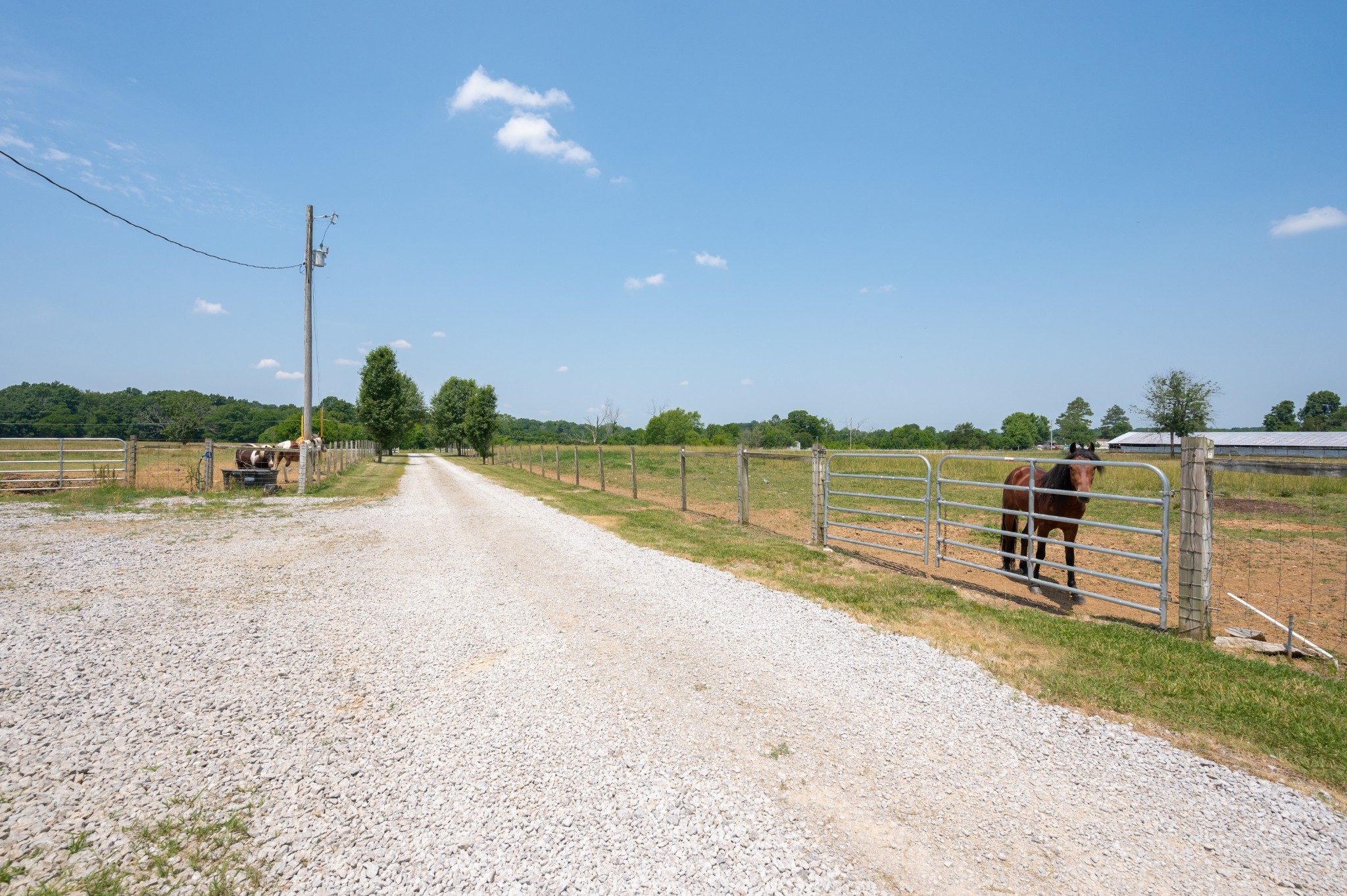 697 Whitaker Road Shelbyville, TN 37160 - Photo 44 of 61 Gallery Image 44