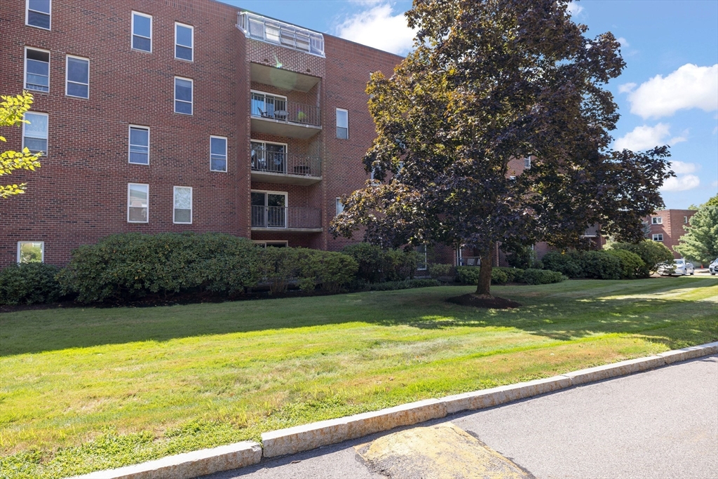 50-56 Broadlawn Park, Unit 221 Boston, MA 02467 - Photo 24 of 29 a view of a swimming pool with a yard