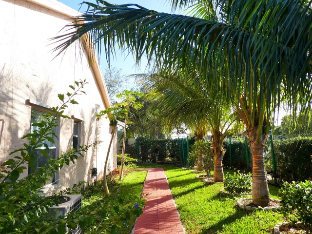 a view of backyard of house