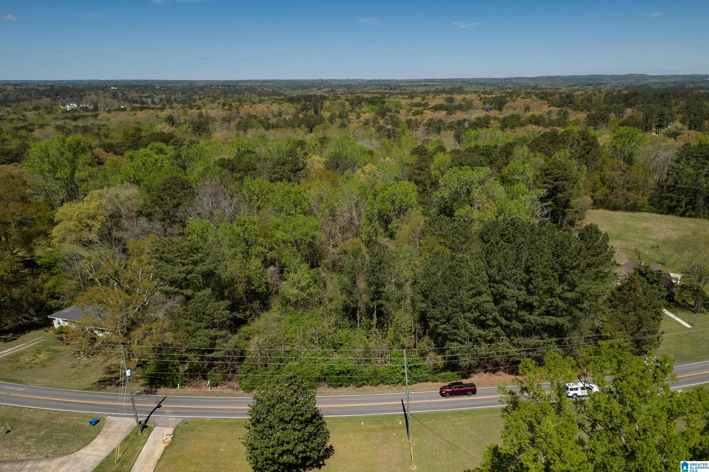 1044 Morris Majestic Road Morris, AL 35116 - Photo 5 of 13