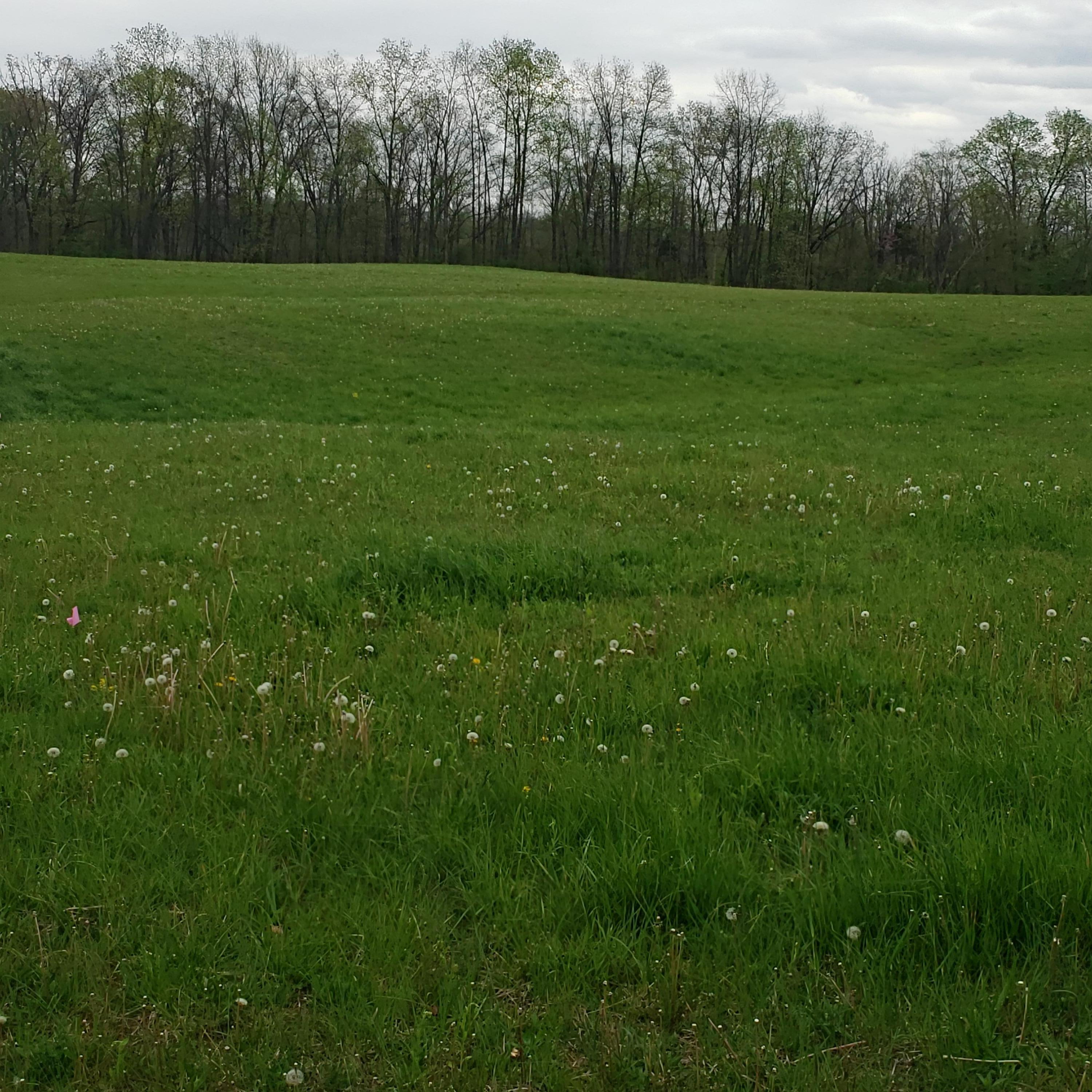 0 Winchester Southern Road Southwest, Unit LOT #5 Stoutsville, OH 43154 - Photo 3 of 3