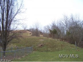 1481 Barrcut Road Spencer, WV 25276 - Photo 14 of 24 View of horse on hill