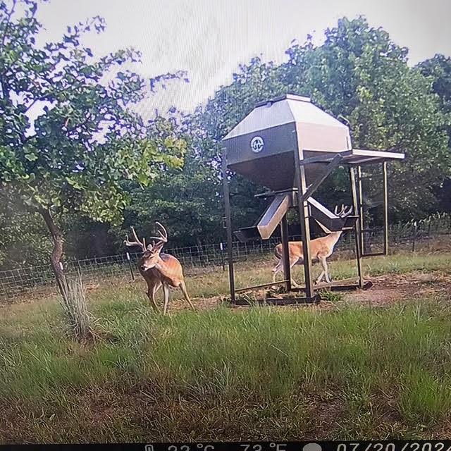 0 Turpin Lake Road Poolville, TX 76487 - Photo 4 of 16