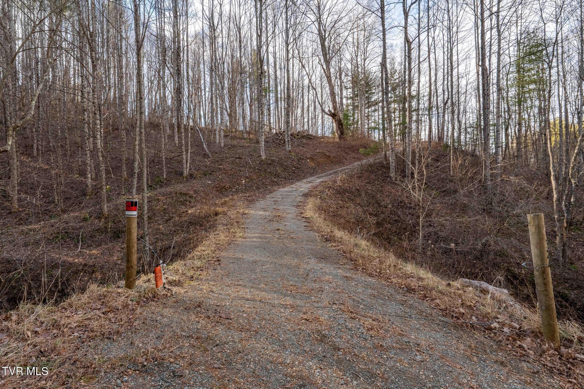 324 Allen Snyder Road Trade, TN 37691 - Photo 36 of 40 324 Allen Snyder Rd (51 of 80)