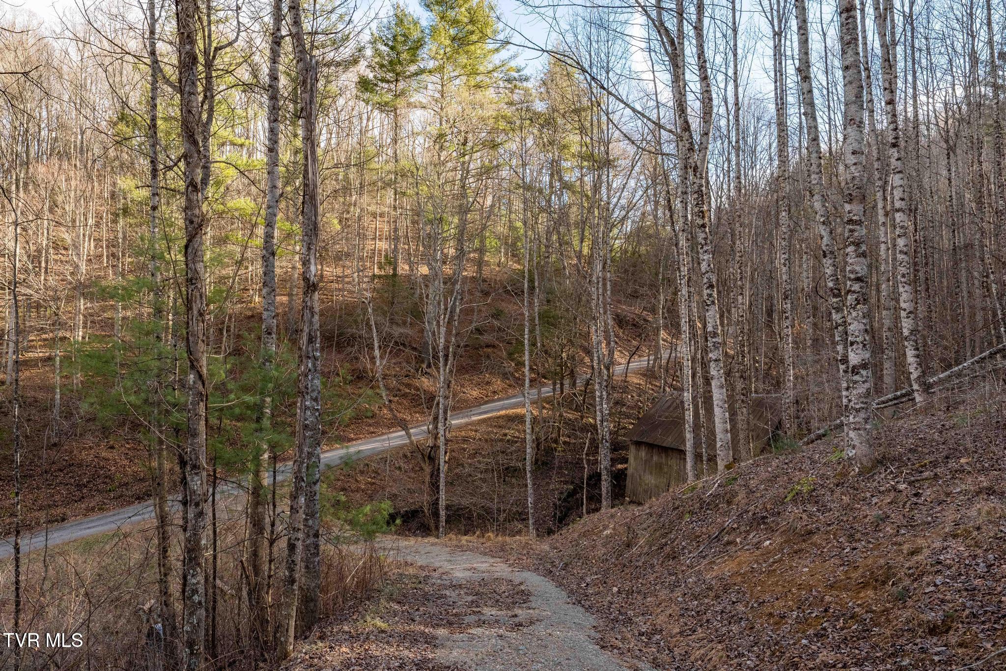 324 Allen Snyder Road Trade, TN 37691 - Photo 37 of 40 324 Allen Snyder Rd (49 of 80)