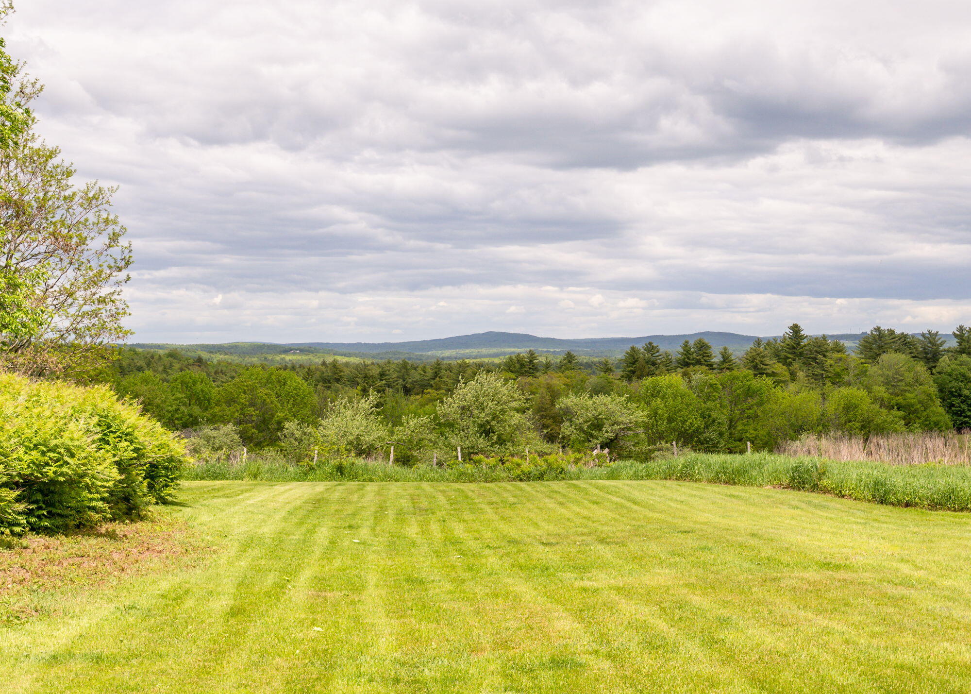102 Kimball Corner Road Naples, ME 04055 - Photo 9 of 53 Rear yard