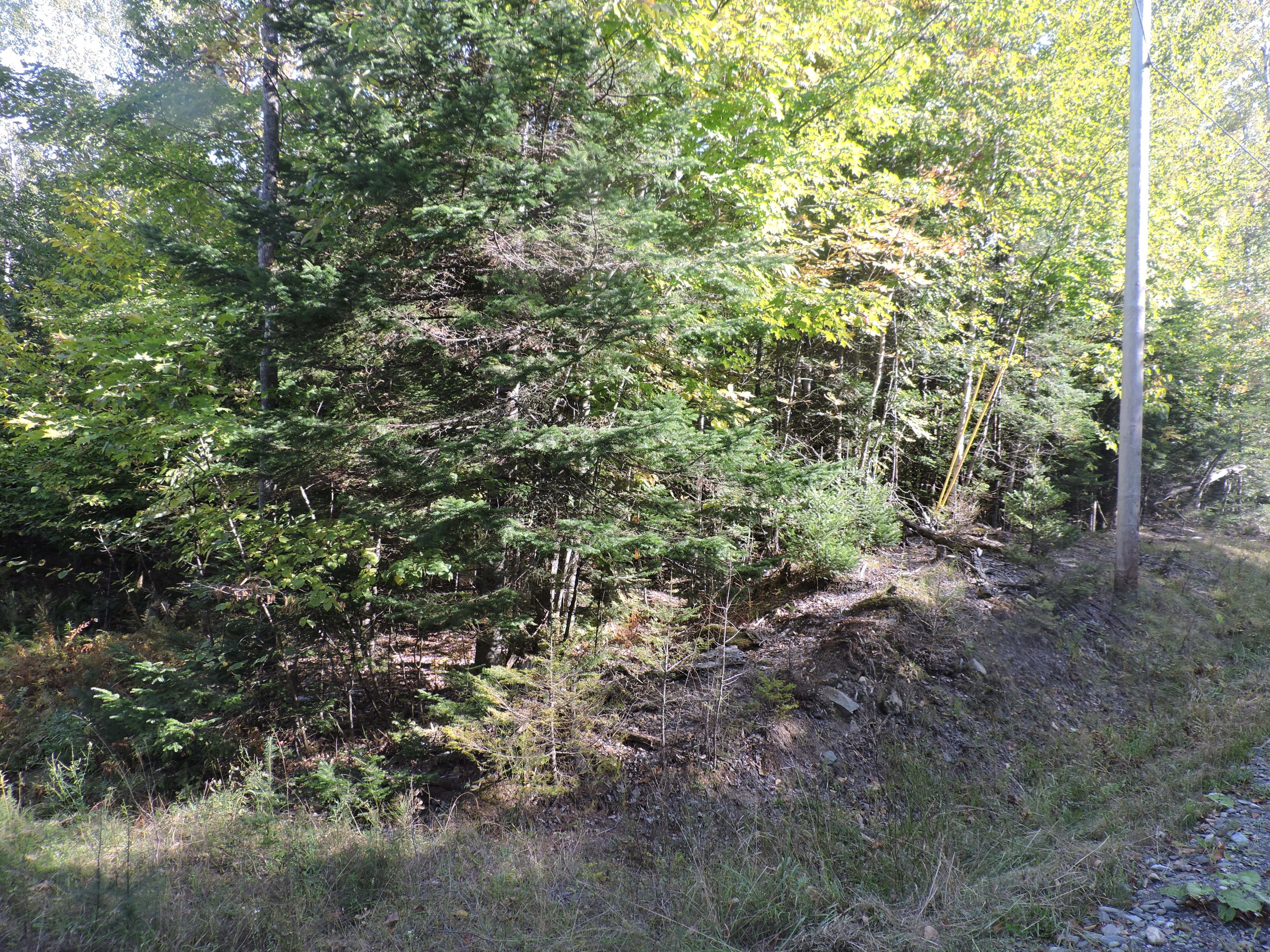 18-18a Steadmans Landing Road Dover-Foxcroft, ME 04426 - Photo 1 of 2 Warnken, Willy (2)