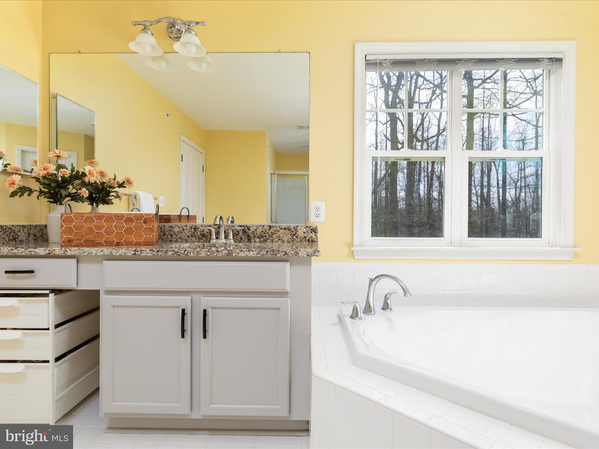 14353 Northbrook Lane Gainesville, VA 20155 - Photo 26 of 63 a bathroom with a granite countertop sink and a large mirror