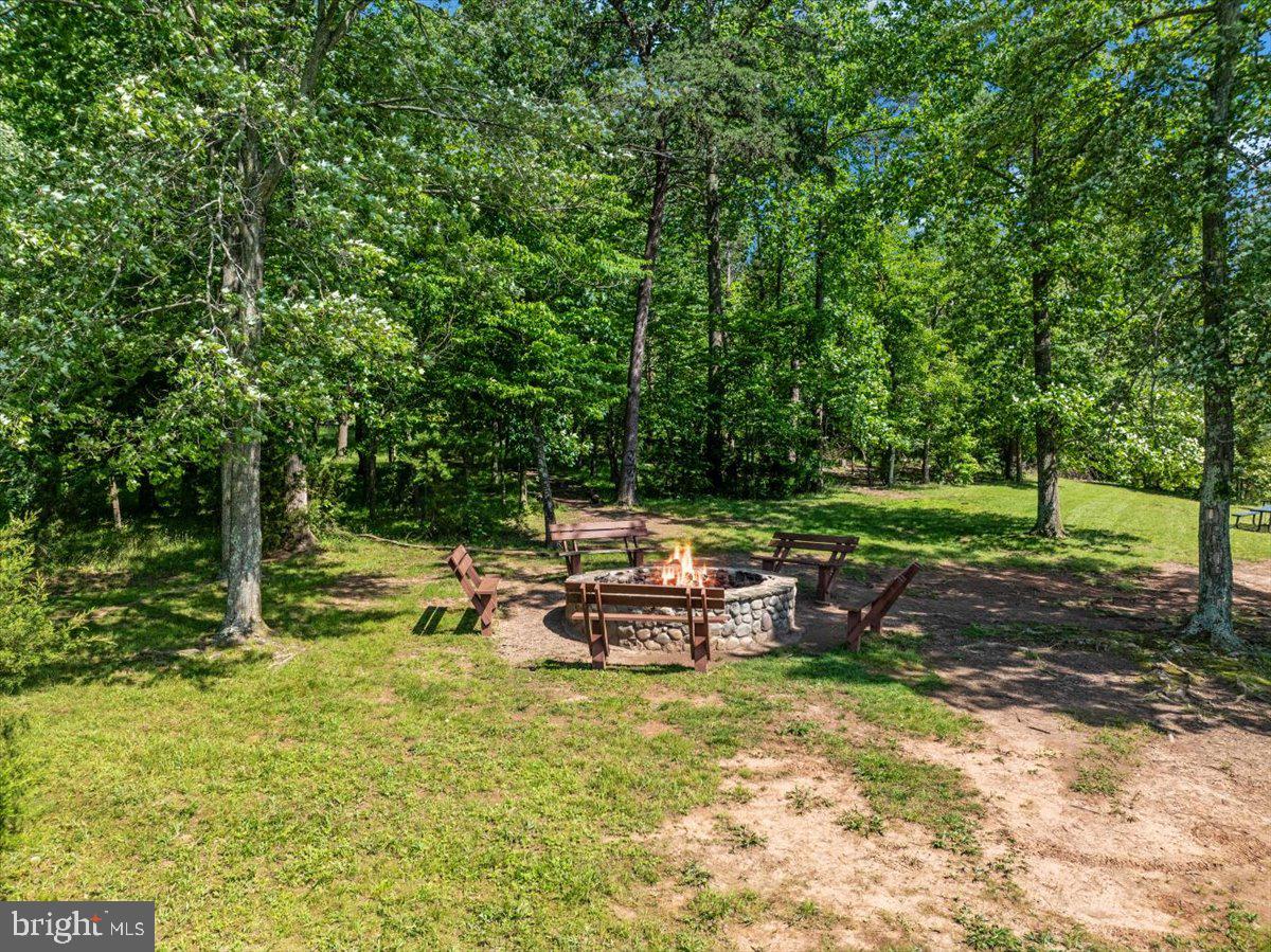 14353 Northbrook Lane Gainesville, VA 20155 - Photo 59 of 63 a view of a park with large trees