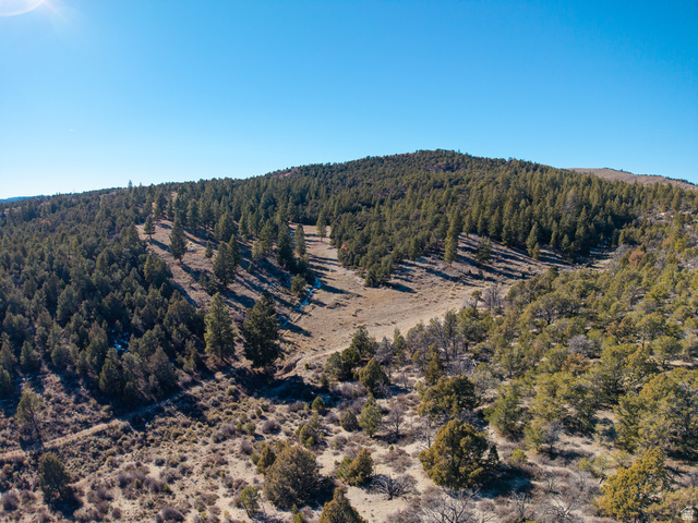 1955 West Mammoth Crk Road Hatch, UT 84735 - Photo 25 of 52 Expansive mountainous terrain featuring a mix of mature evergreen and deciduous trees