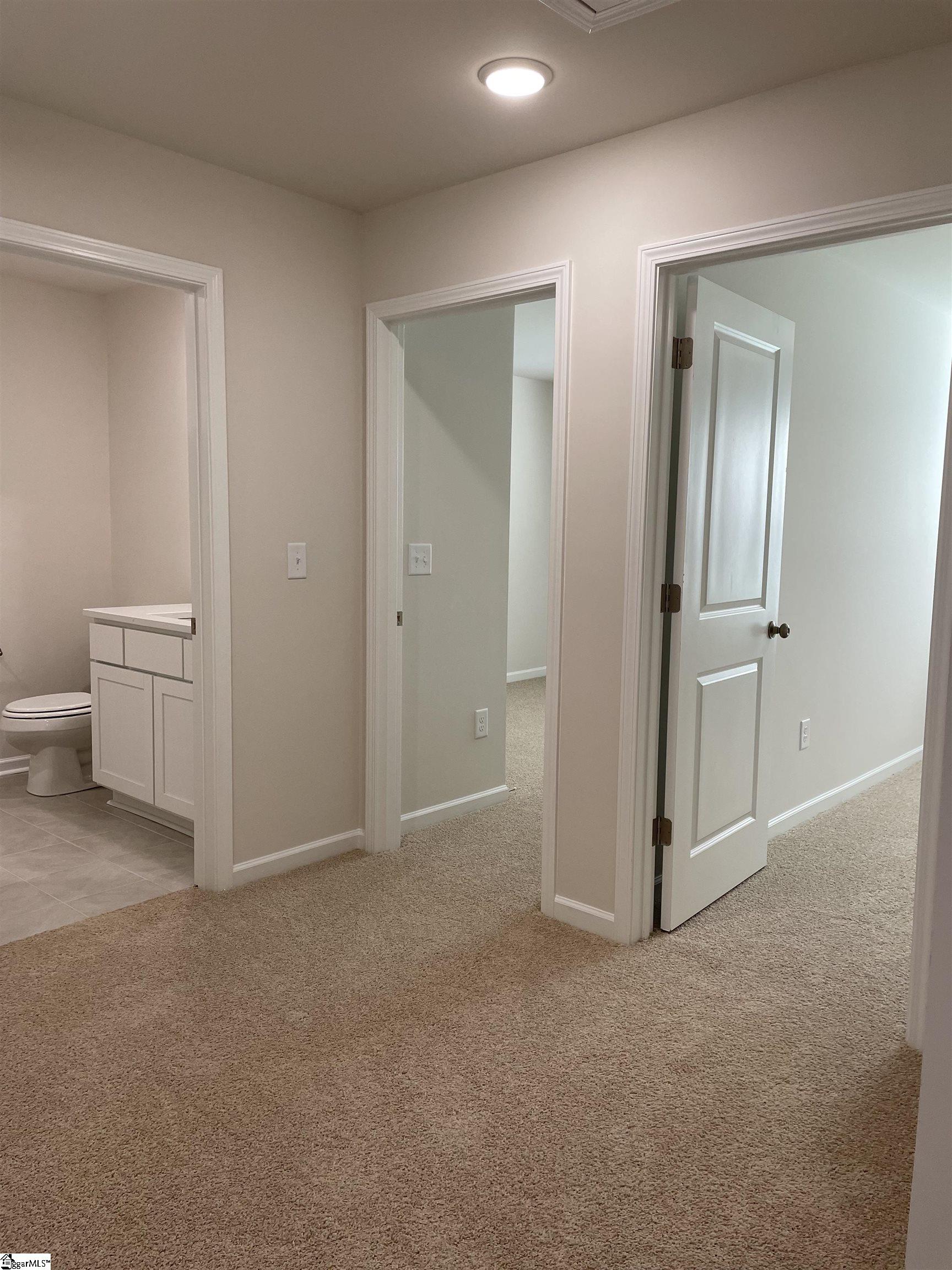 101 Cillian Street Fountain Inn, SC 29644 - Photo 19 of 32