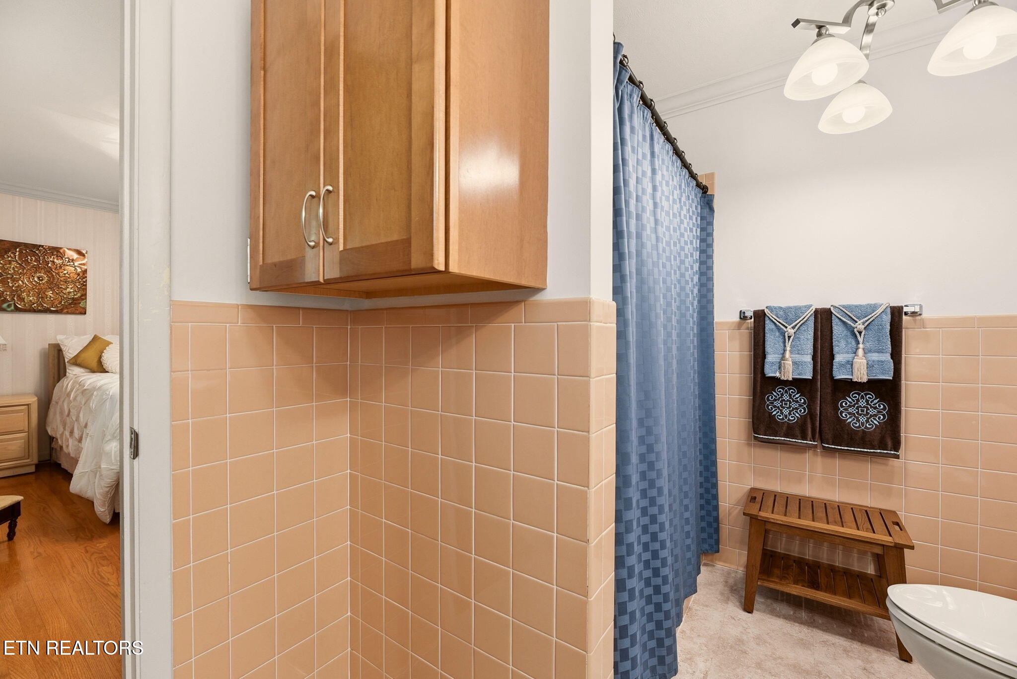 116 Caldwell Drive Oak Ridge, TN 37830 - Photo 24 of 50 Primary bath 1