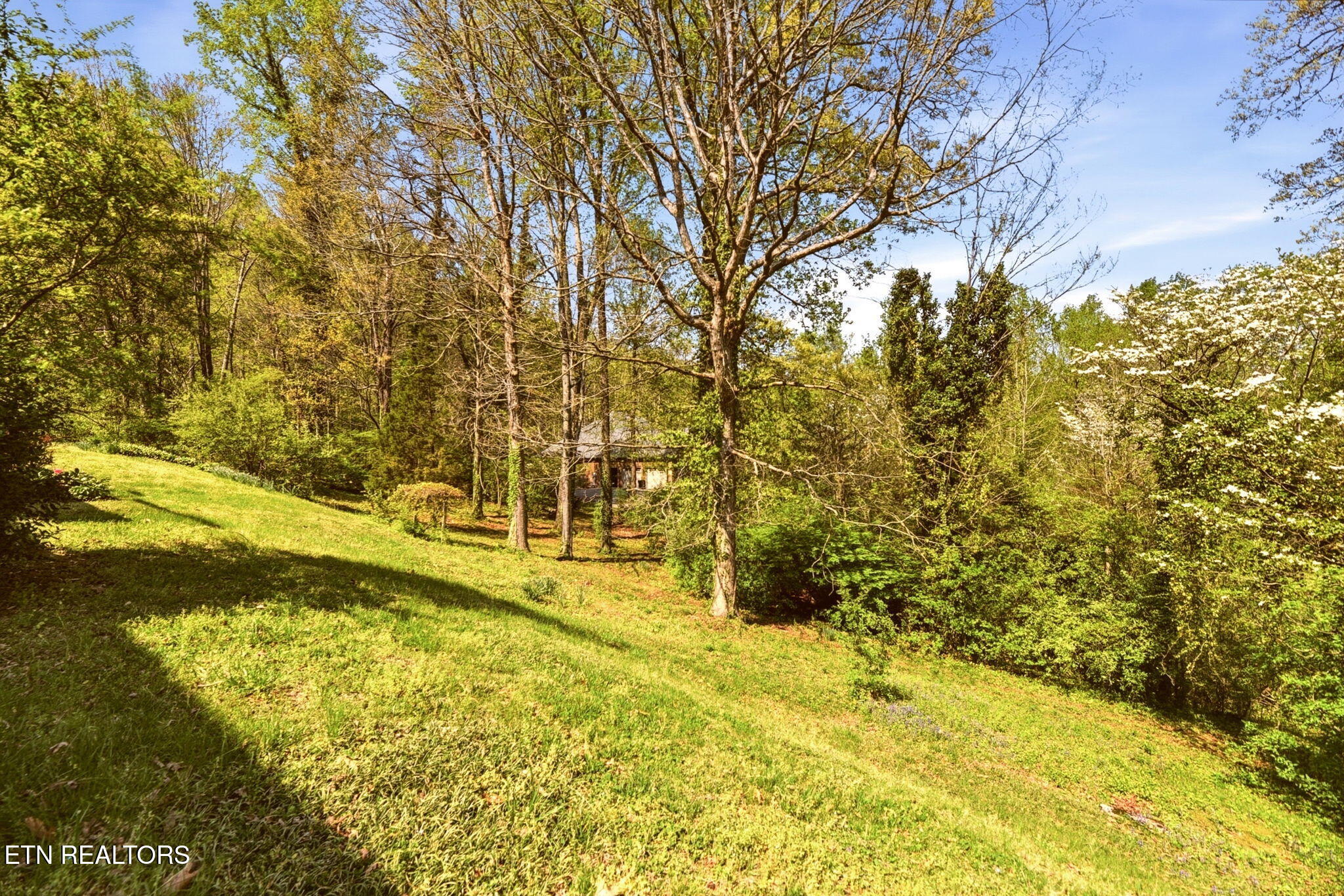 116 Caldwell Drive Oak Ridge, TN 37830 - Photo 48 of 50 Back yard