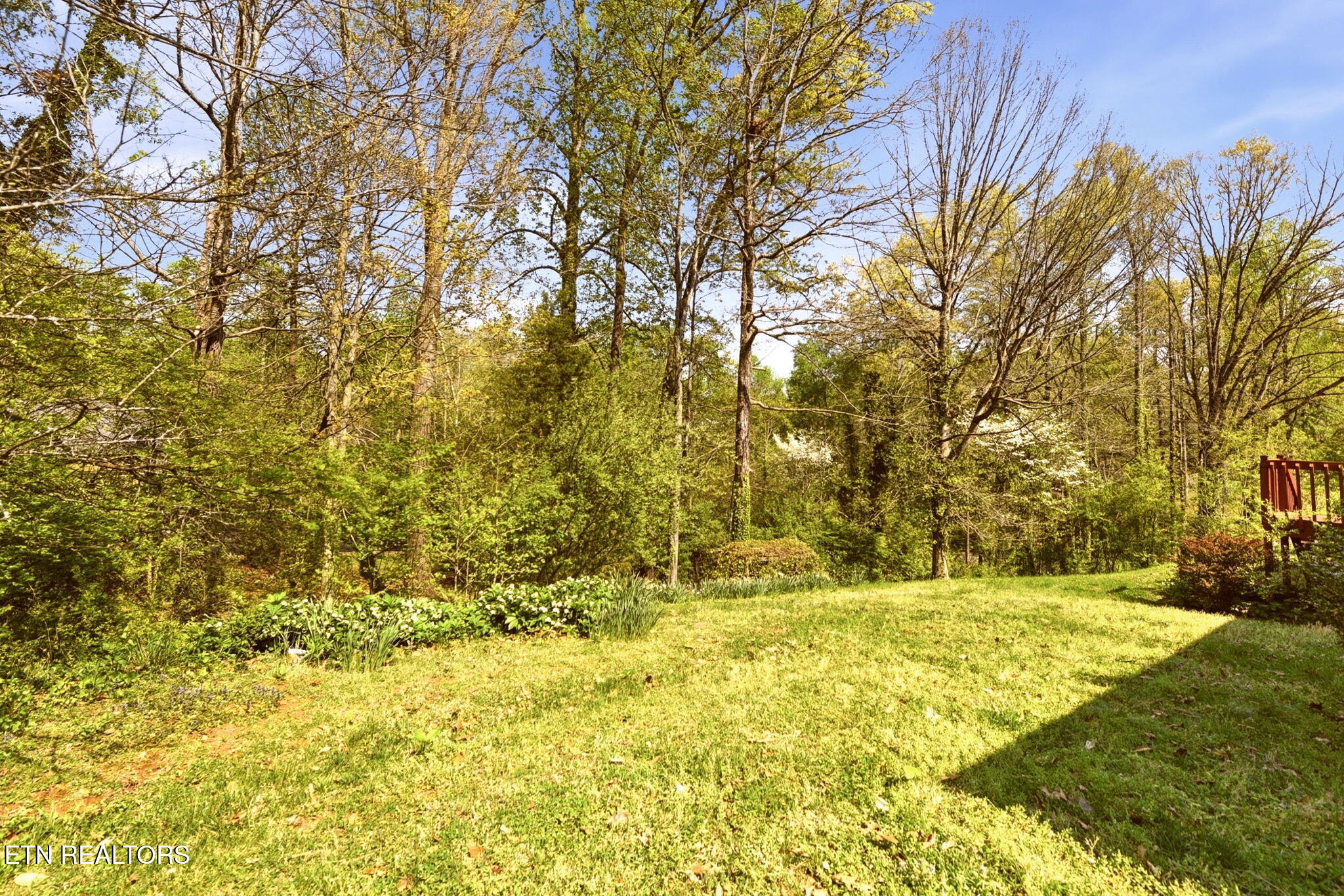116 Caldwell Drive Oak Ridge, TN 37830 - Photo 49 of 50 Back yard