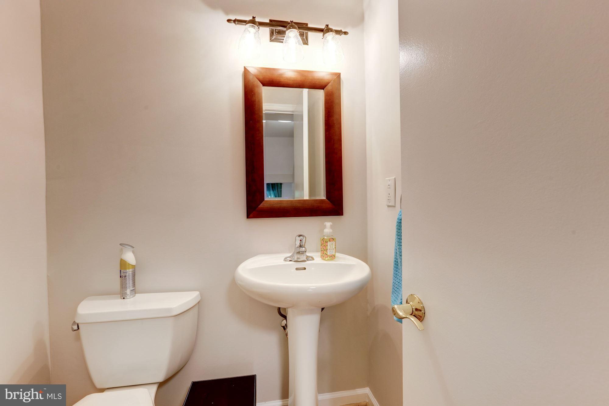 2163 Pond View Court Reston, VA 20191 - Photo 22 of 30 Bath