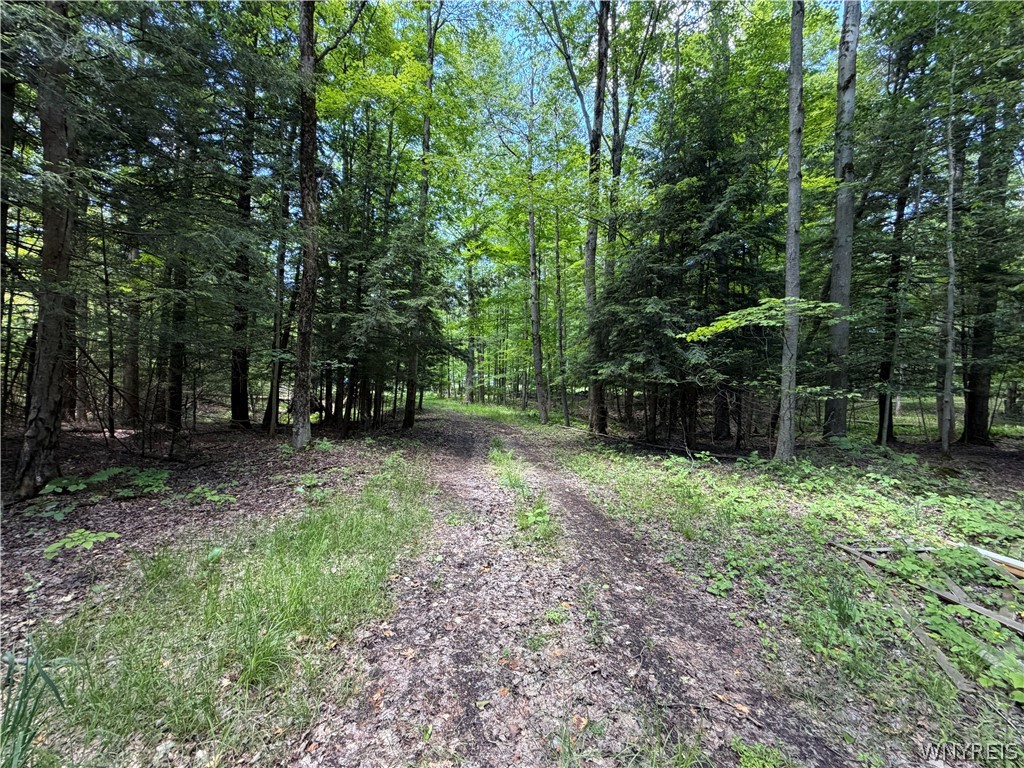 13800 Pritchard Road Concord, NY 14141 - Photo 1 of 8