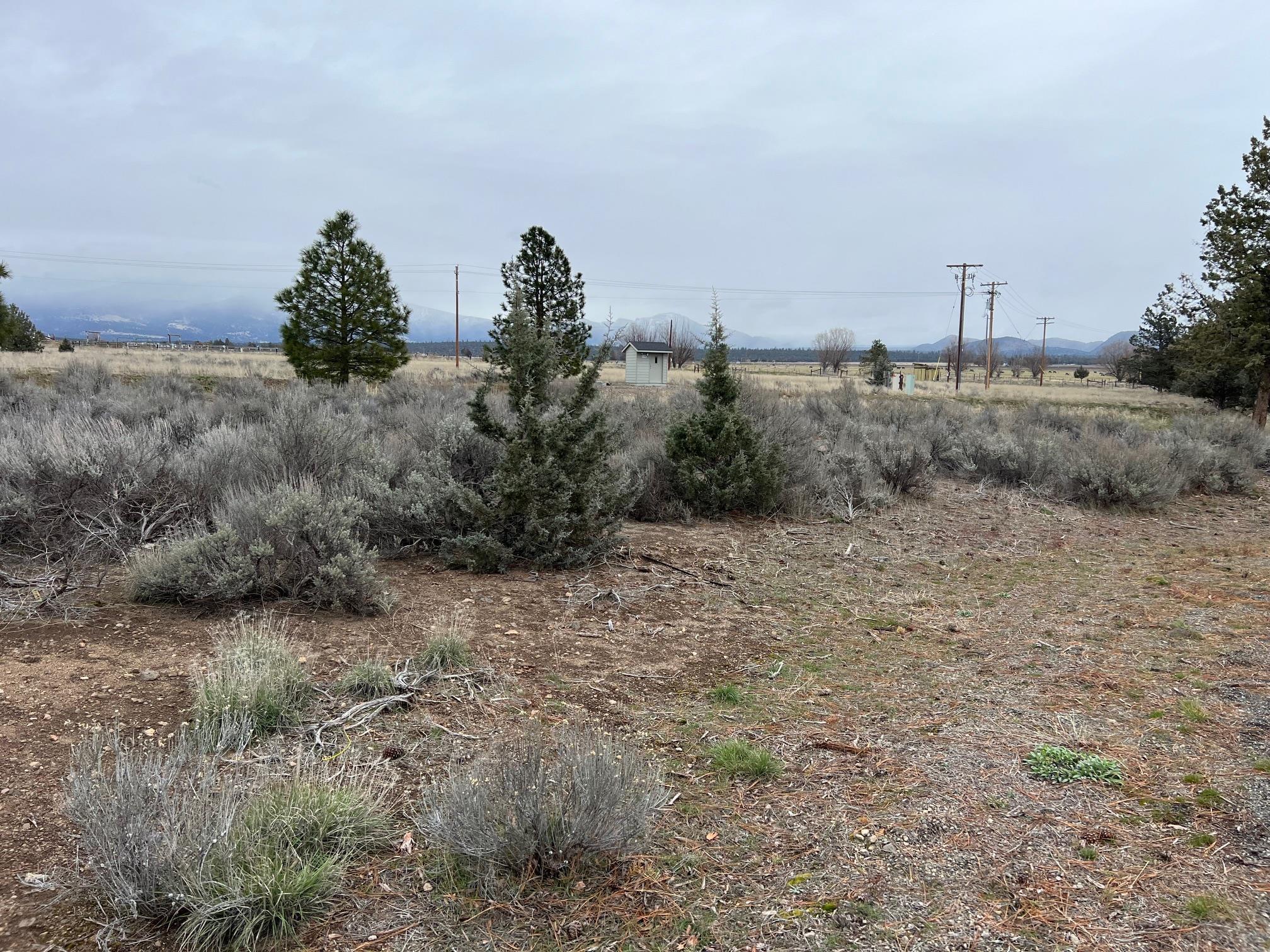 9-1 Lot 145 Brookside Road Weed, CA 96094 - Photo 4 of 19 Gallery Image 4