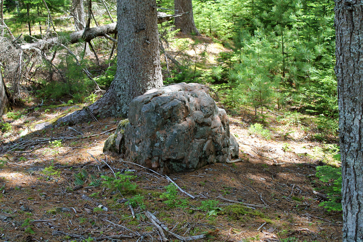 10 Patterson Hill Road Mount Desert, ME 04660 - Photo 5 of 14 Granite2