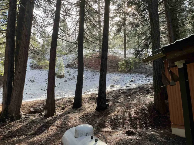a view of a backyard with trees
