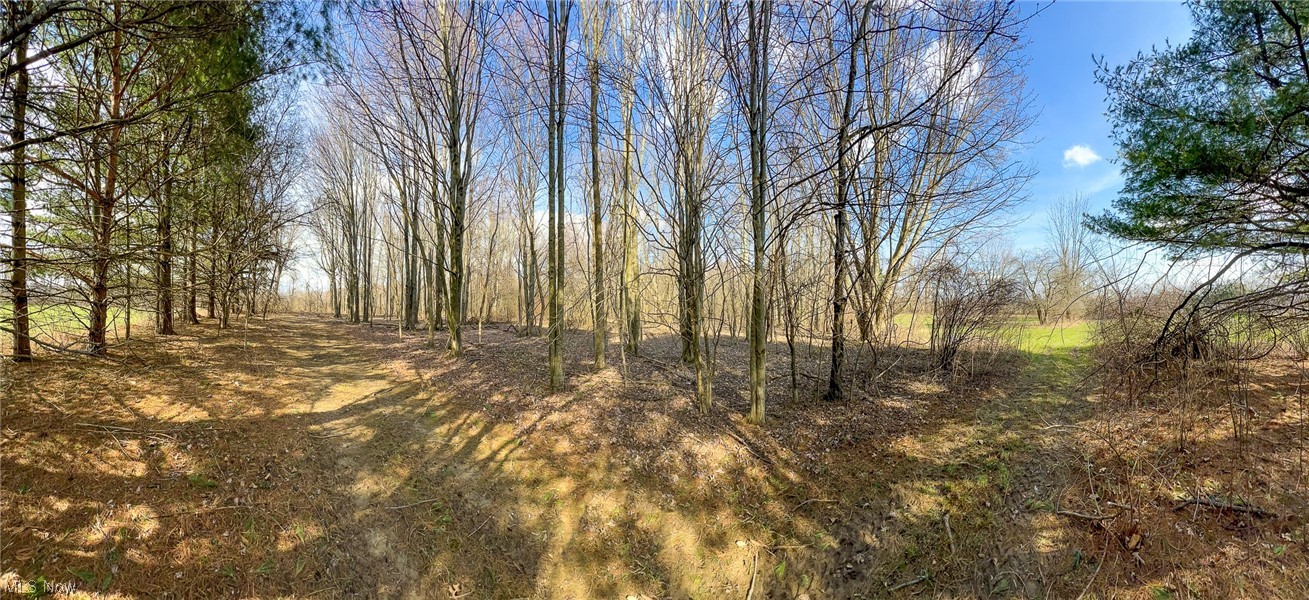 2838 Plymouth Springmill Road Shelby, OH 44875 - Photo 25 of 26