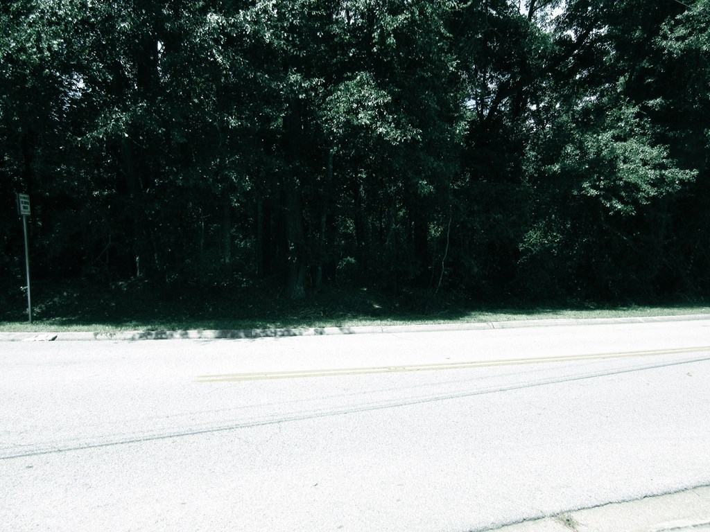 0 Rocky Branch Road Dothan, AL 36303 - Photo 4 of 5