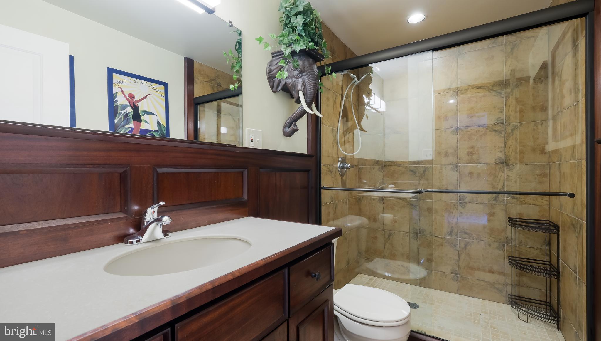 3766 Robin Road Furlong, PA 18925 - Photo 50 of 78 Full Bath, lower level