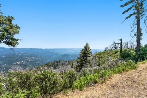 a view of a large yard with lots of green space