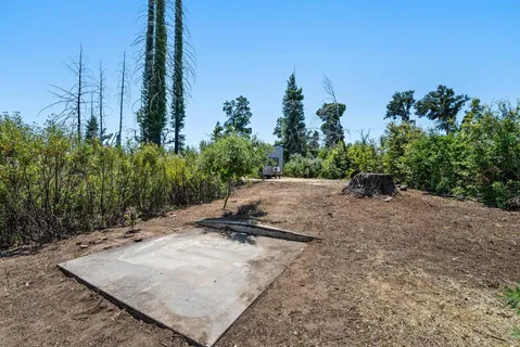 a view of a backyard