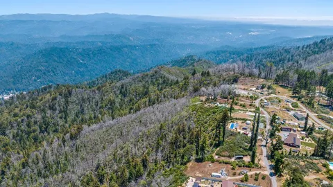 a view of a city with lush green forest