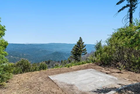 a view of a dry yard with trees