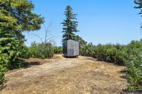 a picture of plants and trees in the background