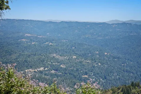 a view of a field with mountains in the background