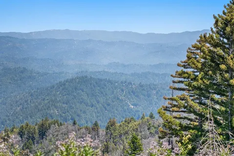 a view of a lush green field with mountains in the background