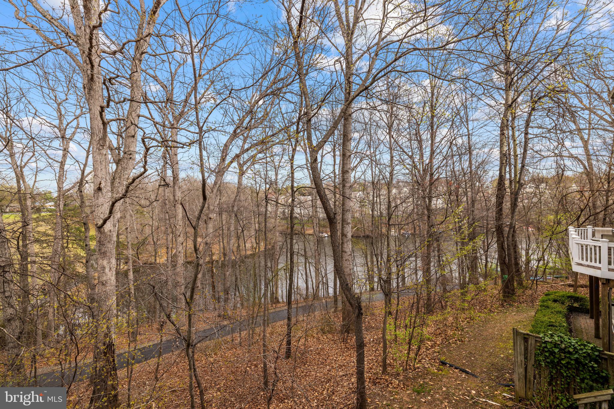 2526 Brenton Point Drive Reston, VA 20191 - Photo 106 of 123