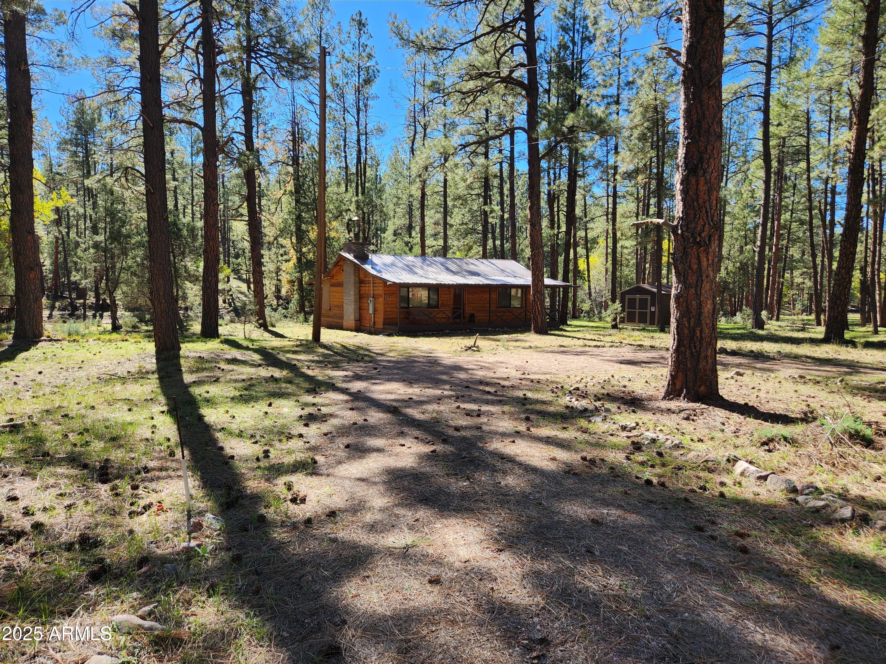 247 West Diamond Road Payson, AZ 85541 - Photo 35 of 42 a view of a backyard with large trees
