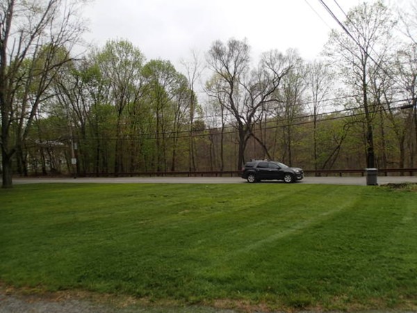 139 Winter Street, Unit 1 Framingham, MA 01702 - Photo 10 of 11 a garden view
