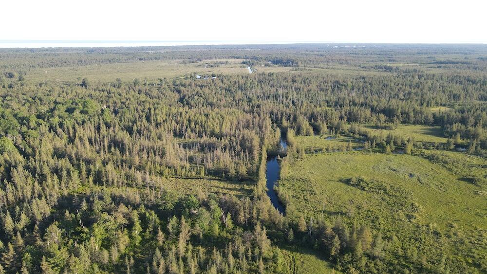 Vl Knute Road East Tawas, MI 48730 - Photo 21 of 96 DJI_0948