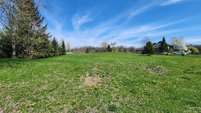 a view of a grassy field with an trees