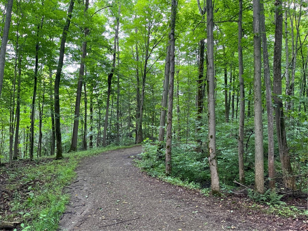 0 Stebbins Road South Silver Creek, NY 14136 - Photo 40 of 50