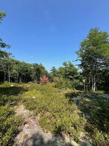 377 Old Stage Road Bath, ME 04530 - Photo 3 of 3 -7894644713635281483