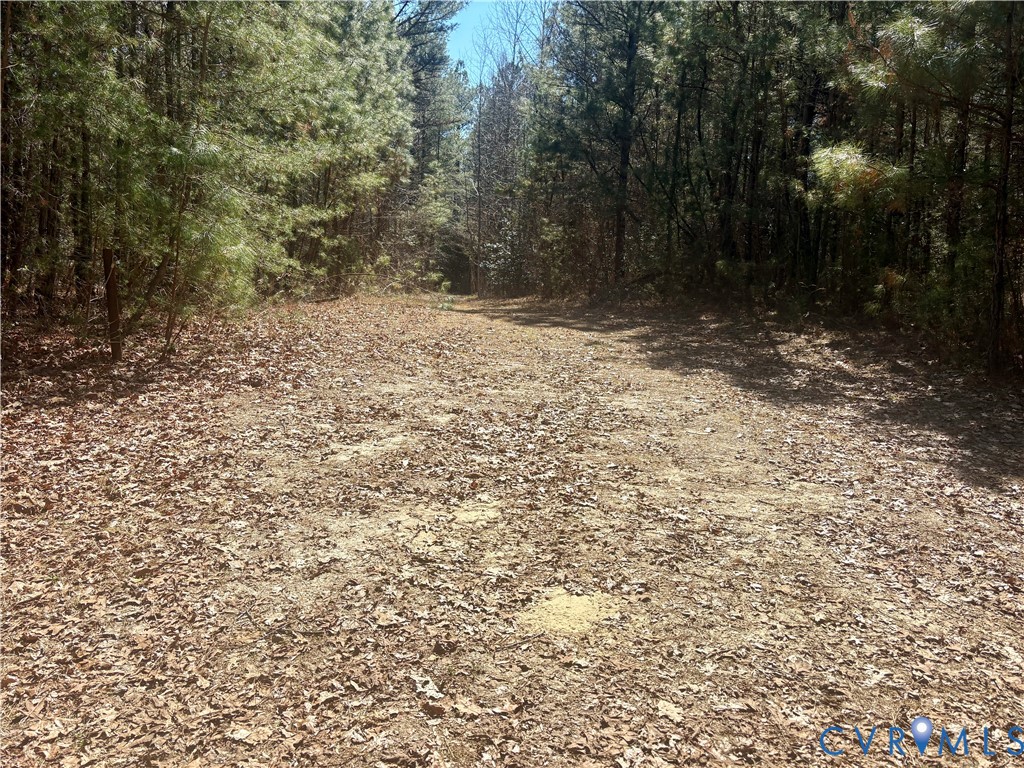 0 Kington Road Shacklefords, VA 23156 - Photo 4 of 9 a view of backyard with green space