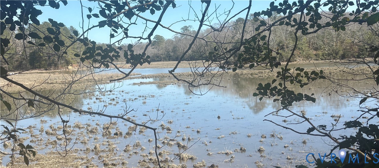 0 Kington Road Shacklefords, VA 23156 - Photo 8 of 9 a view of a backyard of the house