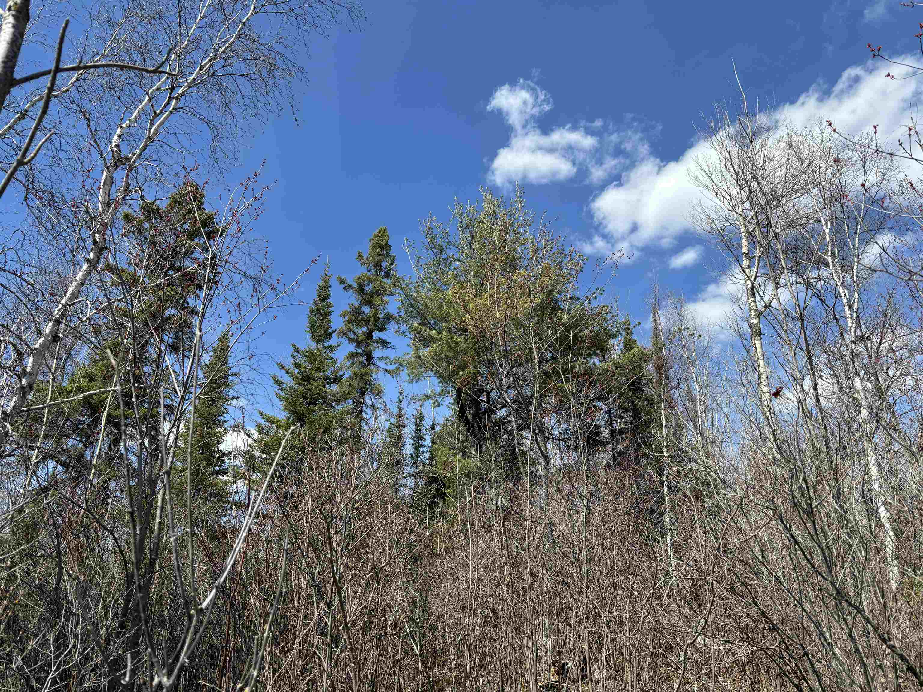1 Fernberg Road Ely, MN 55731 - Photo 14 of 16
