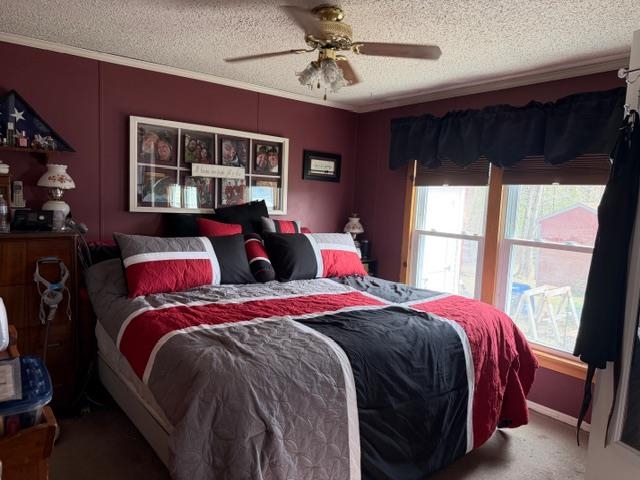68 Daffodil Hill Lane Rochester, NH 03868 - Photo 29 of 51