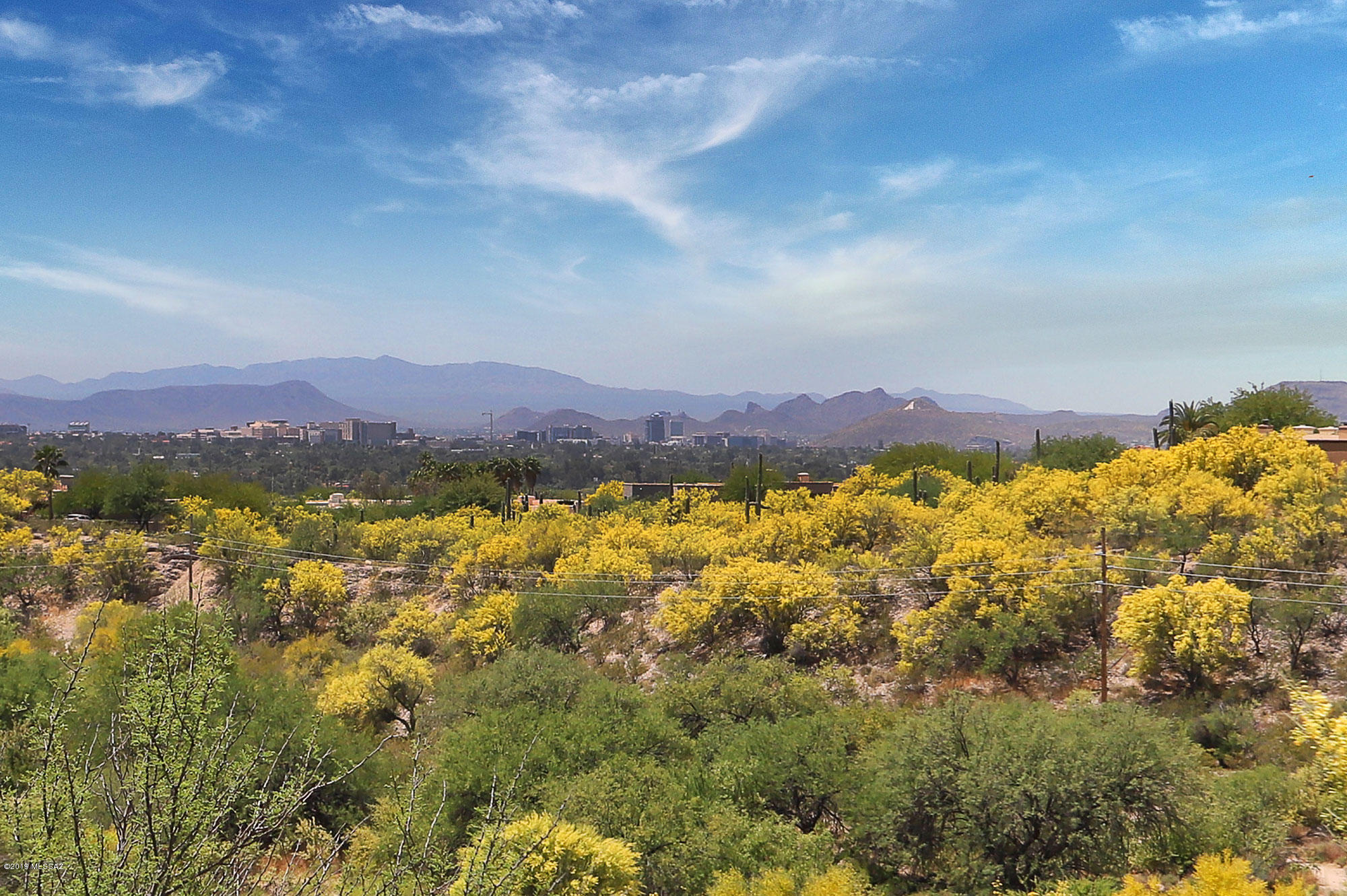 4737 La Rueda Tucson, AZ 85718 - Photo 32 of 50
