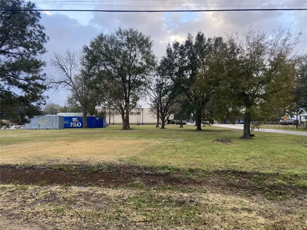 a view of yard with tree in front of it