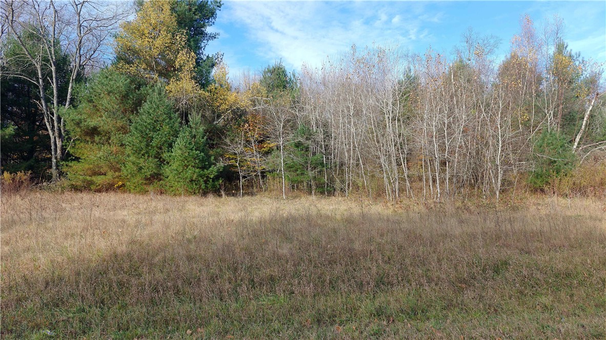 239 White Road Parish, NY 13131 - Photo 11 of 17