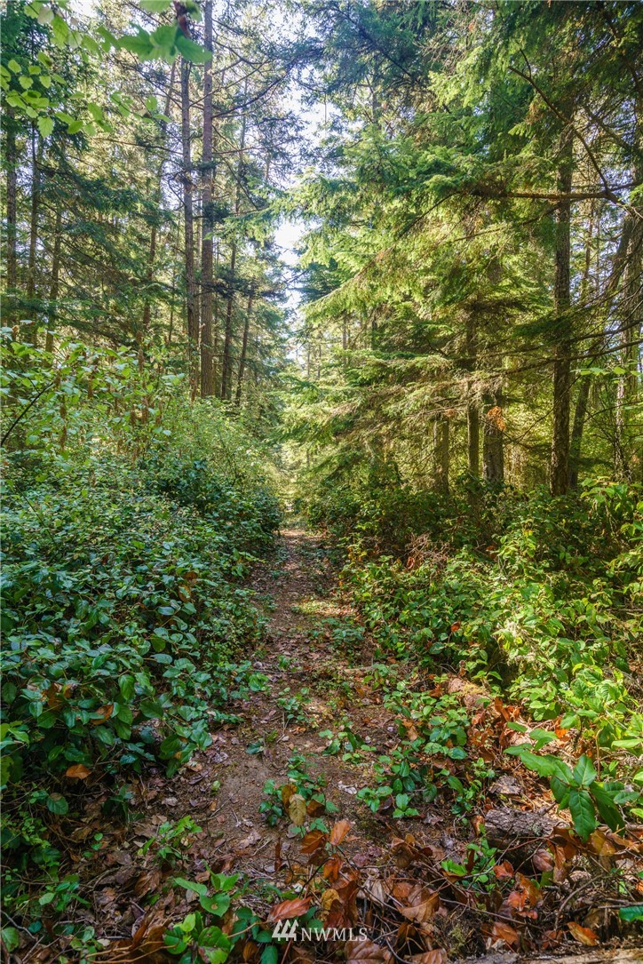 0 Burt Road Lopez Island, WA 98261 - Photo 3 of 3