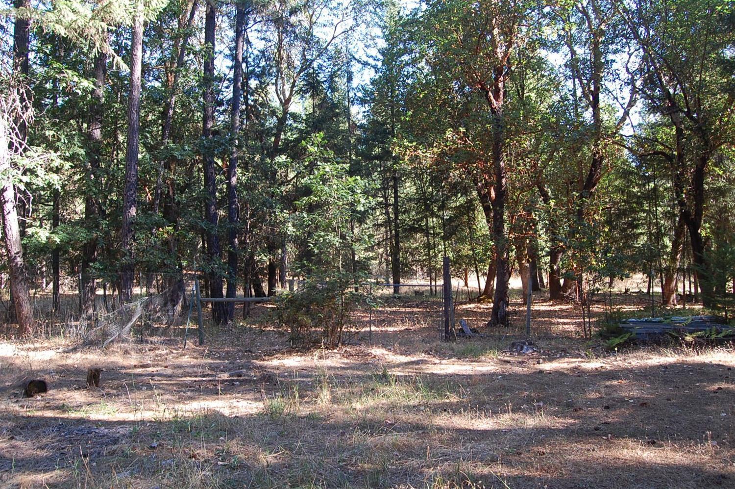 904 Queens Branch Road Rogue River, OR 97537 - Photo 8 of 21 Additional Photo